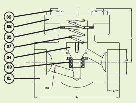 Forged steel gate valves