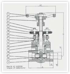 Forged steel gate valves